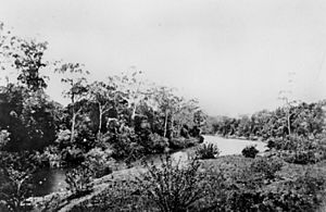 StateLibQld 2 118488 Along the Caboolture River near the Whish sugar plantation, Oaklands, 1873