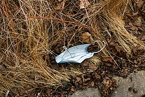 Surgical mask in dry grass at Brädgårdsvägen in Brastad