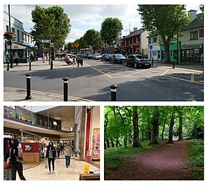Clockwise from top: Main Street, Swords; Ward River Valley Park; interior of Swords Pavilions