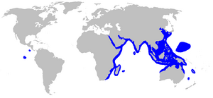 World map with blue coloring around the periphery of the Indian Ocean, from South Africa to the Arabian Peninsula to Southeast Asia as far as Japan and Australia, as well as in a region of Micronesia and around the Galapagos and Cocos Islands in the eastern Pacific