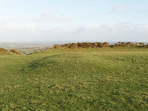 The Giant's Grave, Warbstow Bury - geograph.org.uk - 712295