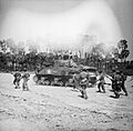 The War in the Far East- the Burma Campaign 1941-1945 SE3094