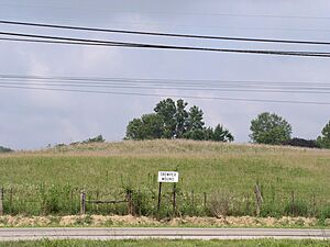 Tremper Mound HRoe 2009 03