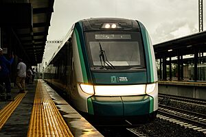 Tren X'Trapolis Tsíimin K’áak arribando a la estación Mérida Teya