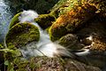 Waterfall in plitvicka romanceor 4