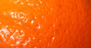 Zest Orange