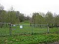 A.A. Parsons Farmstead fields
