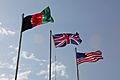Afghan, British and American Flags MOD 45151539