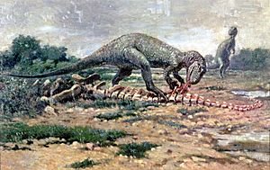 Allosaurus4