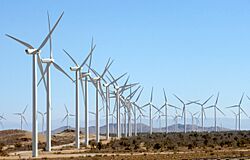 Alta Wind Energy Center from Oak Creek Road