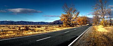 Autumn in the Mckenzie Counrty.NZ (10560753215)