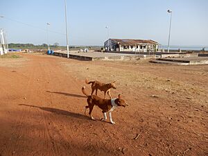 Avenida Almirante Cândido dos Reis, Bolama, Guiné-Bissau – 2018-03-04 – DSCN1447