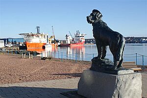 Bamse - geograph.org.uk - 1721496
