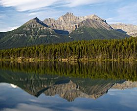 Banff National Park Lake Herbert Mount Niblock