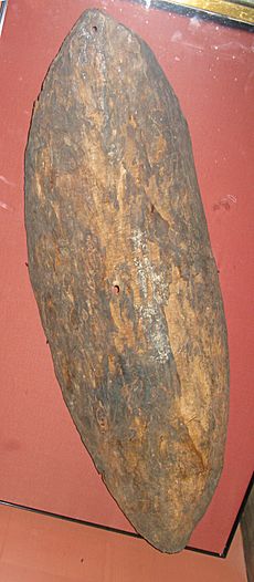 Bark shield 2008 british museum
