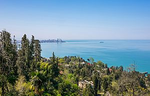 Black Sea coast of Georgia (country), with skyline of Batumi on the horizon
