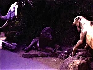 Blackgang Chine jungle land 1980