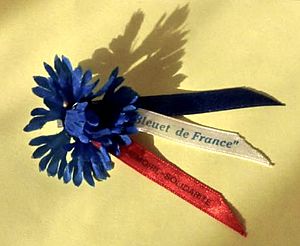 Bleuet de France circa 1950