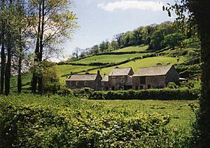 Branscombe, Manor Mill - geograph.org.uk - 36964