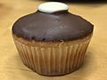 Brown Cupcake with a White Top