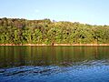 BrushCreek
