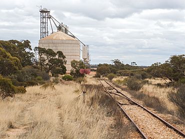 Buckleboo Railway and Silos South Australia(18039872166).jpg