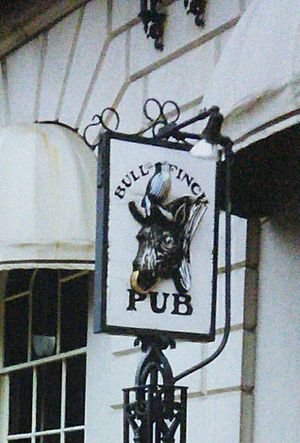 Bull And Finch 90s