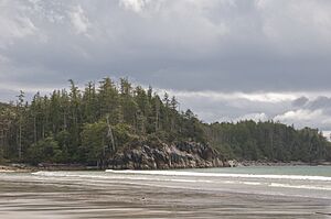 Calvert Island, BC, beach