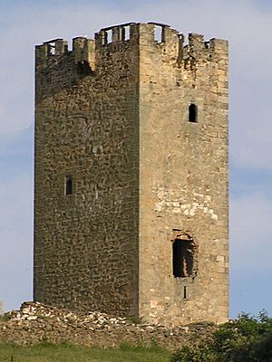 Medieval torreón of Cespedosa de Tormes