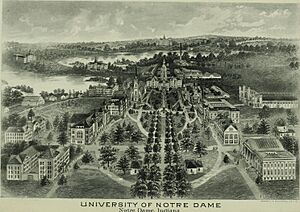 Catalogue of the University of Notre Dame (1903) (14802559243)