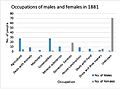 Chart showing the different occupations by gender in Knodishall in 1881