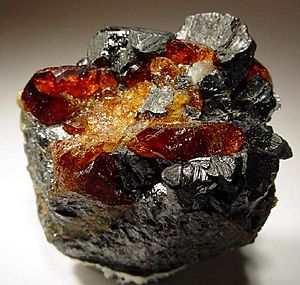 Chondrodite-Magnetite-37952