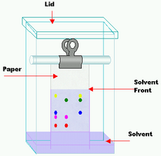 Chromatography tank