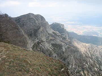 Cim Puigsacalm.JPG