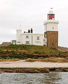 Coquet Island lighthouse close-up - geograph.org.uk - 1366409