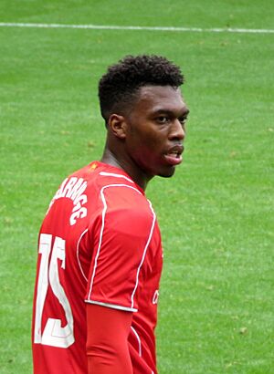 Daniel Sturridge, 2014