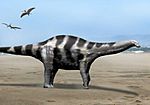 Demandasaurus NT