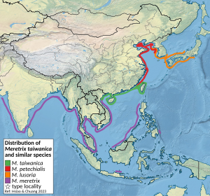 Distribution of Meretrix taiwanica per Hsiao et Chuang 2023