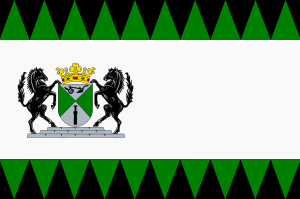 Emmen vlag