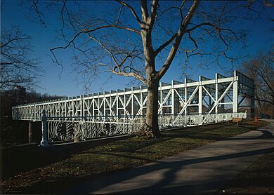 Falls Bridge (cropped)