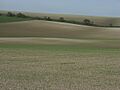 Farmland, Easton Hill - geograph.org.uk - 391101