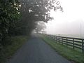 Foggy morning road - visibility at 200 ft