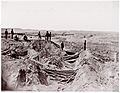 Fort Mahone, Petersburg, Virginia MET DP70464