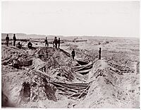 Fort Mahone, Petersburg, Virginia MET DP70464