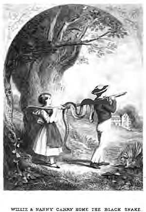 Frontispiece from Our Cousins in Ohio