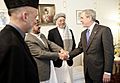 George W. Bush meets Afghan politicians in Kabul