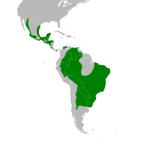 Glaucidium brasilianum map.svg