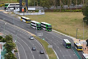 Gold Coast buses (28259988216)