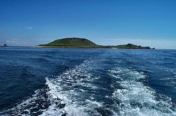 Great Ganilly, Scilly - geograph.org.uk - 215325.jpg