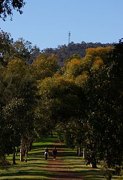 Greenmount 01 gnangarra